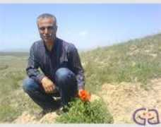gayet.net Kankia
