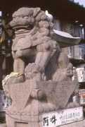 Kannoji