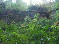 shreekumar.in Kanoor