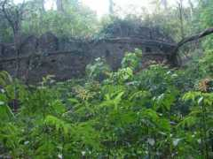 shreekumar.in Kanoor