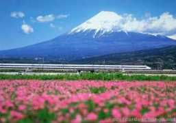 Kansen