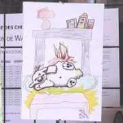 ecoles.cfwb.be Kaouas