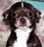 riverhousestudios.org Kapali