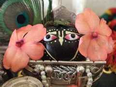 gopala.org Kapilo