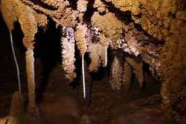 veselasola.net Kapnik