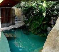 acapulcolasbrisasvillas.com Kapool