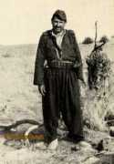 saradistribution.com Karadaghi