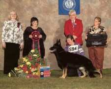 gsdca.org Karagin