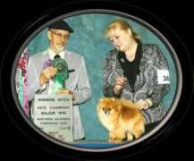 evensongpoms.com Karakoussis