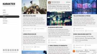 joomlavision.com Karakter
