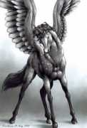 unicornjorge.com Karalina