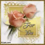 liveinternet.ru Karanbeer