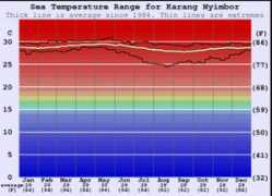 it.surf-forecast.com Karang