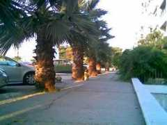 panoramio.com Karatas