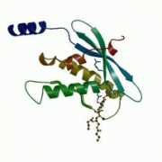 mrc-lmb.cam.ac.uk Karathanassis