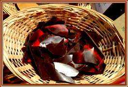 blogs.hola.com Karavelic