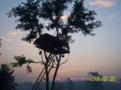 karbi.wordpress.com Karbis