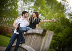 dgnphoto.net Kardine