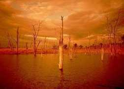 wildlifesafari.info Kariba