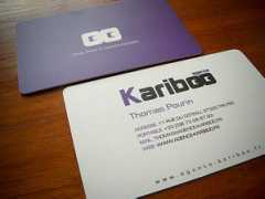 thedesigninspiration.com Kariboo