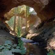 Kariz