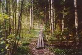 harjunkoulu.org Karkali