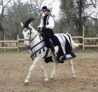 equineexpooftexas.com Karlita