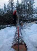 pasvikelva.no Karlsbakk