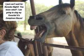 rockingnranch.com Karoke