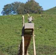 sare.blogs.sudouest.fr Karote