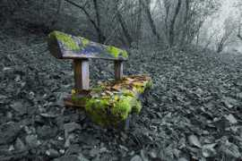 photo4u.hu Karpit