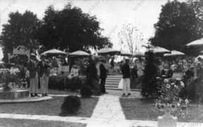 moleseyhistory.co.uk Karsino