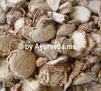 ayurveda.ms Karucha