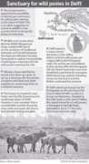 sundayobserver.lk Karunasiri