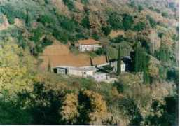 orthodox-world.org Karyon
