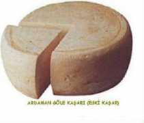Kasar