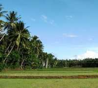 indianetzone.com Kasaragod