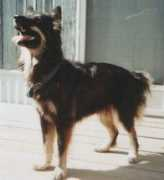 Kasha