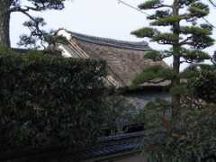 panoramio.com Kashiba
