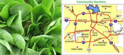 Kashmere