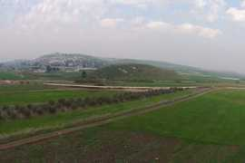 Kassis