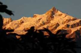 myhimalayas.com Kastari