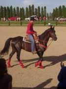 equichannel.cz Kataro