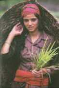 weghatnazar.com Kathera
