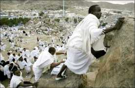 Katib