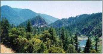 pelicannetwork.net Katimin