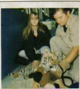 renewvows.petster.com Katlady