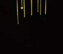 favim.com Katnisseverdeen