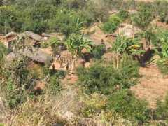 Katondo