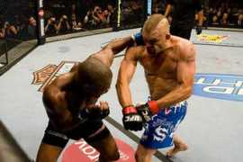 mmaplayground.com Katool